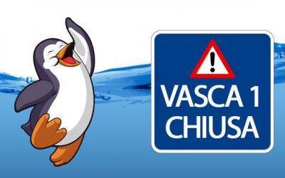 DOMENICA 10/03/19 VASCA 1 CHIUSA – ALTRE VASCHE APERTE